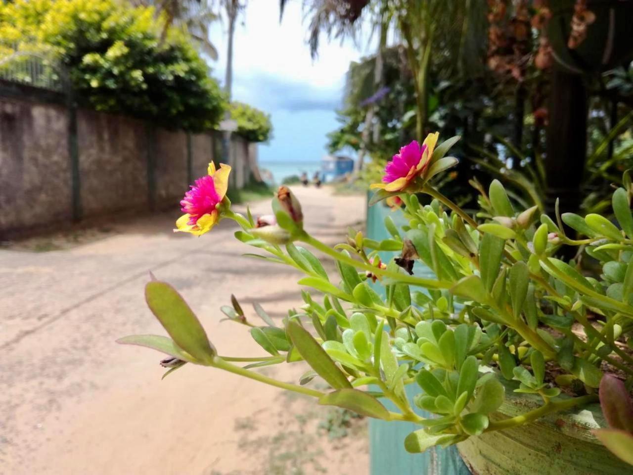 Sunrise Guest House & Restaurant Tangalle Exterior foto